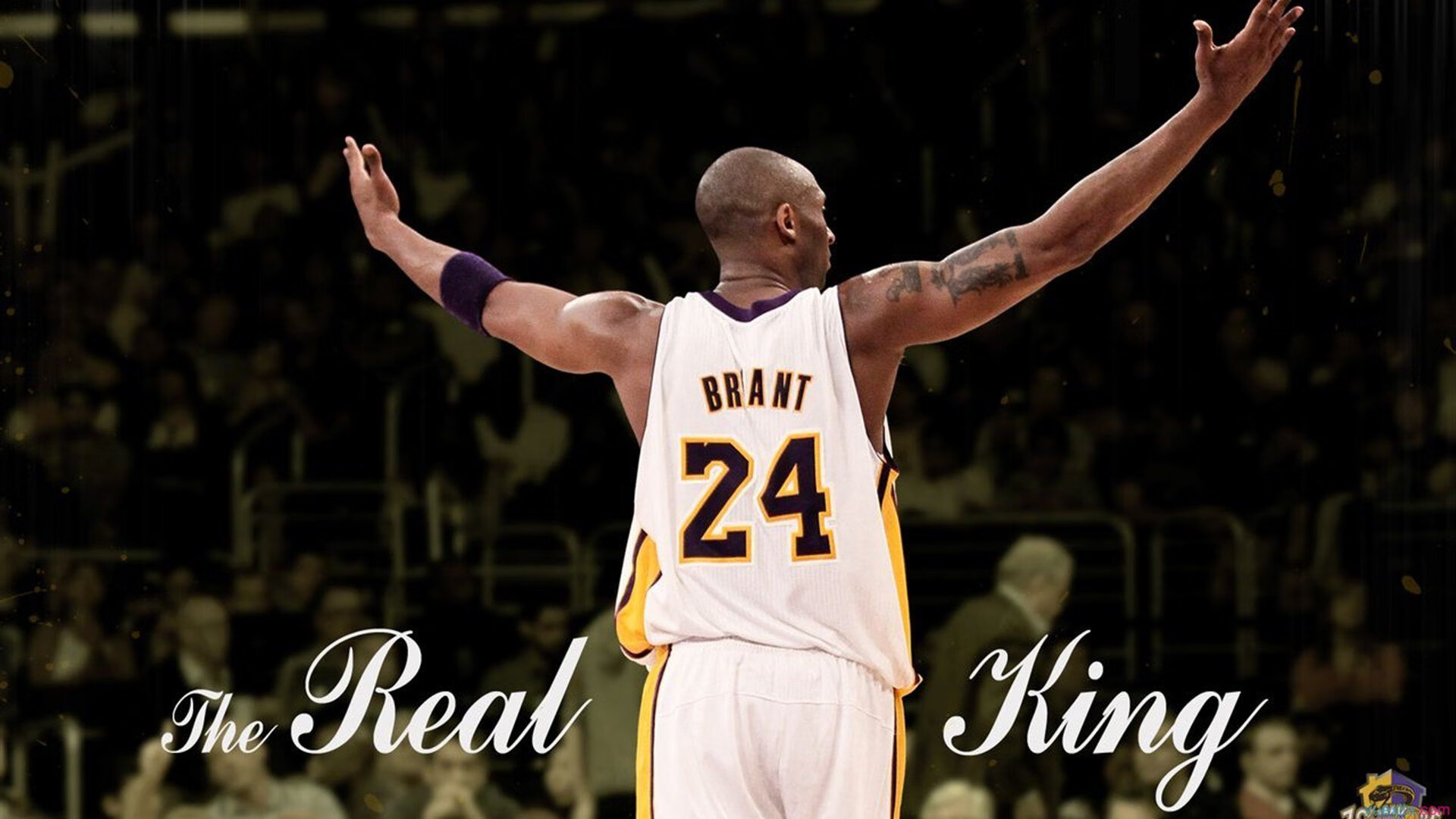 世界杯2026-广东队节奏掌控魔术，拉梅洛成为关键先生